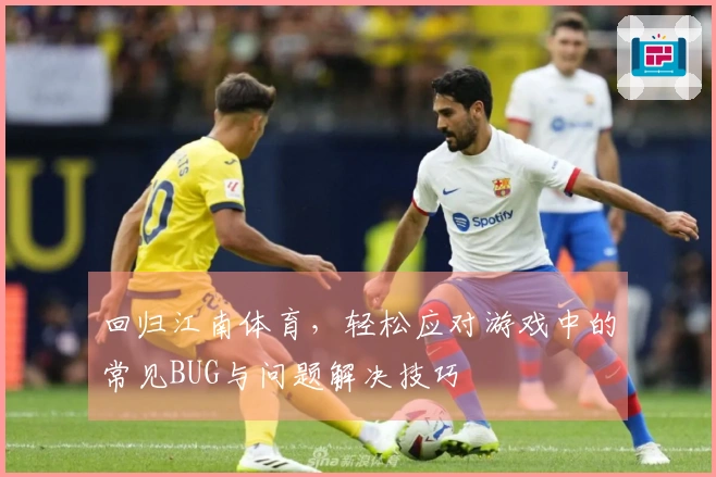 回归江南体育，轻松应对游戏中的常见BUG与问题解决技巧